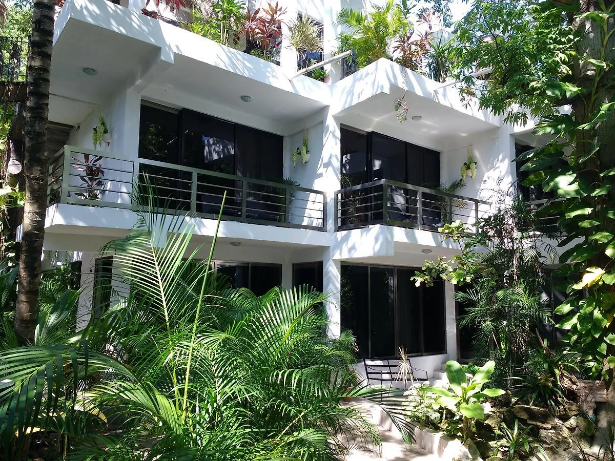 Kontakte von Villa Novaceiba